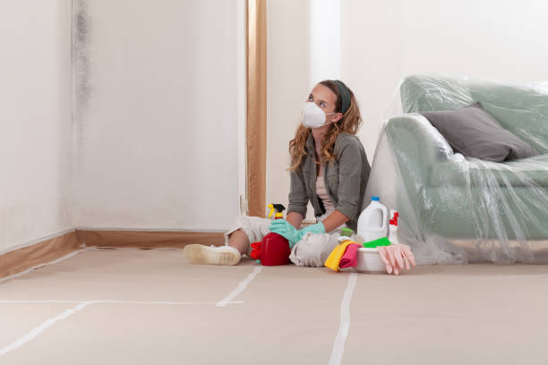Reliable Mold Remediation contractor in Chantilly, VA by Mold Remediation HQ